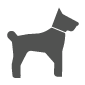 Chien